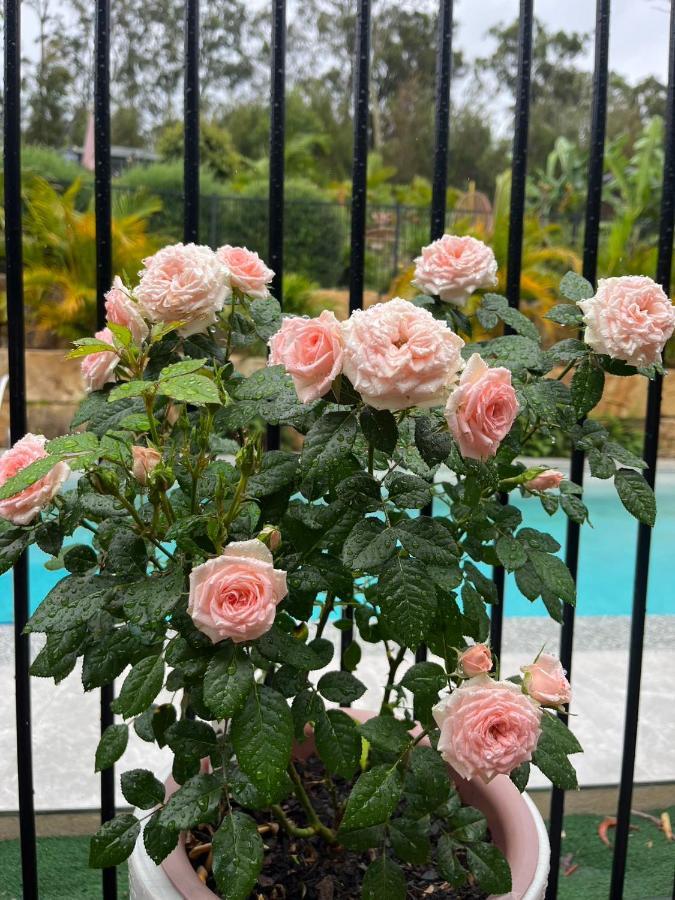 Holiday home Beautiful And Exquisite Two *